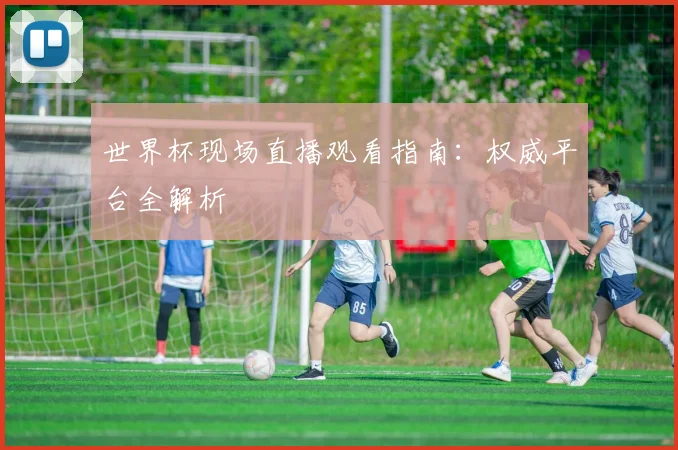 世界杯现场直播观看指南:权威平台全解析