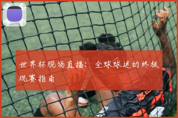 世界杯现场直播:全球球迷的终极观赛指南