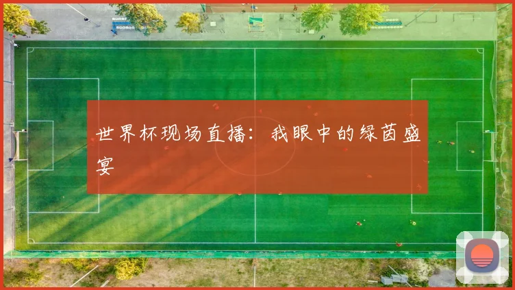世界杯现场直播:我眼中的绿茵盛宴