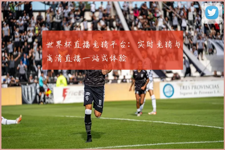 世界杯直播竞猜平台:实时竞猜与高清直播一站式体验