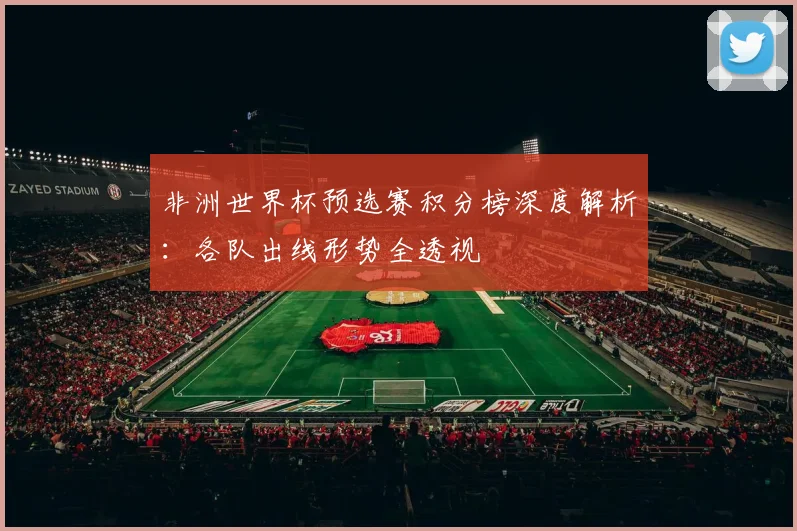 非洲世界杯预选赛积分榜深度解析：各队出线形势全透视