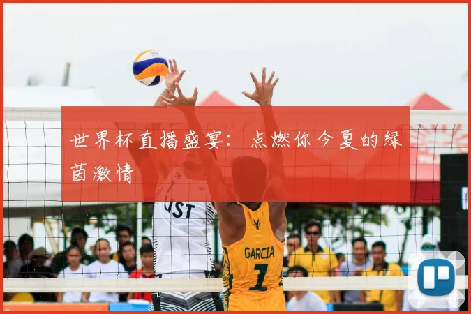 世界杯直播盛宴:点燃你今夏的绿茵激情