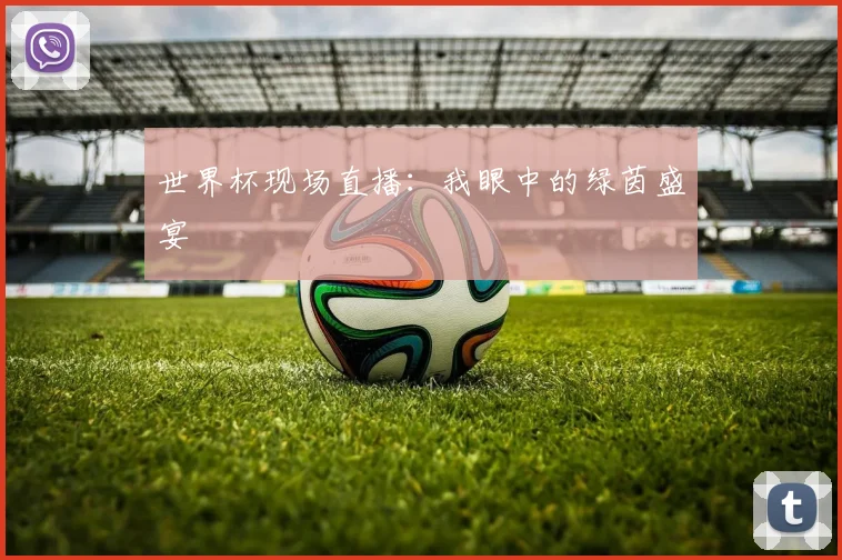 世界杯现场直播:我眼中的绿茵盛宴